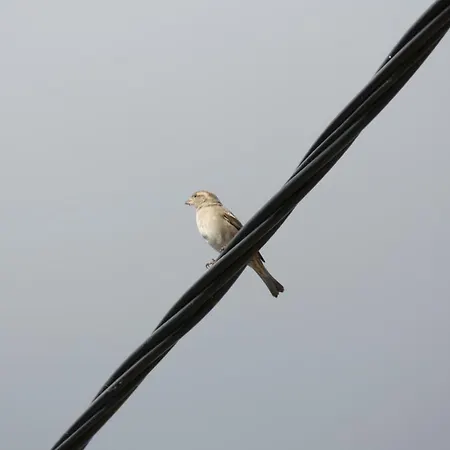 Casa de hóspedes Casas De Pedra 4*
