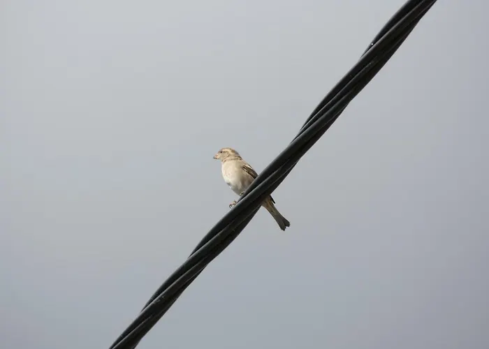 Penzion Casas De Pedra 4*